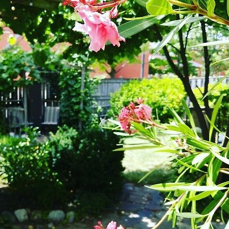 Opus 74 Bed & Breakfast Stratford Dış mekan fotoğraf