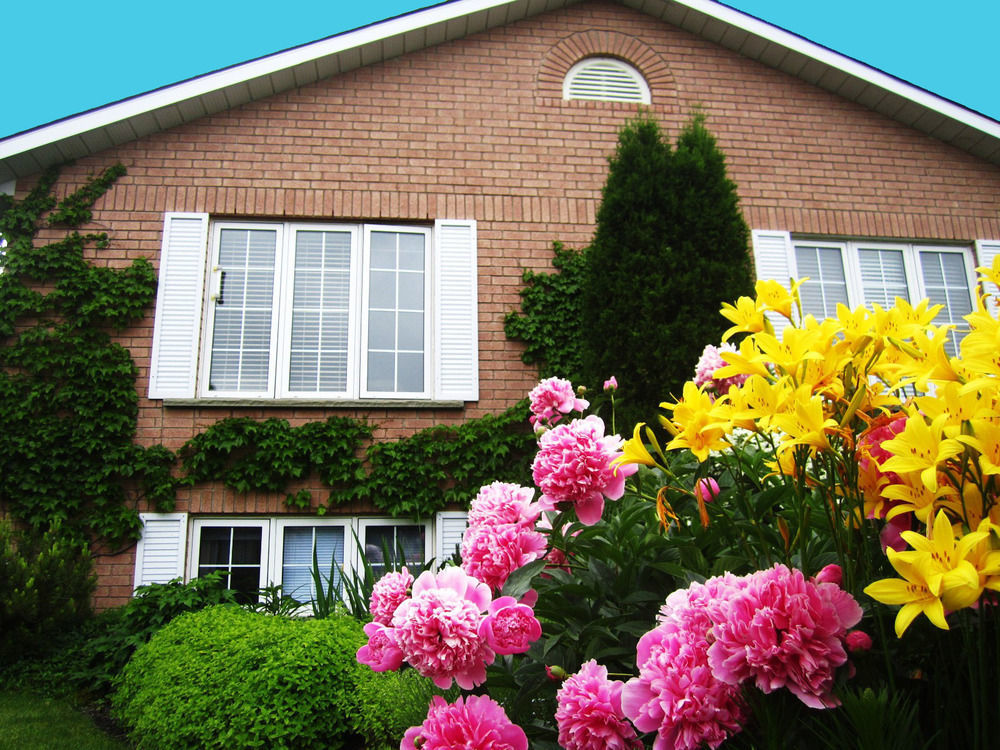 Opus 74 Bed & Breakfast Stratford Dış mekan fotoğraf