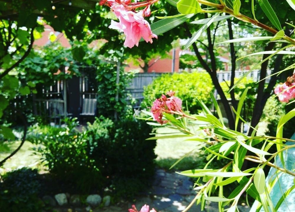 Opus 74 Bed & Breakfast Stratford Dış mekan fotoğraf
